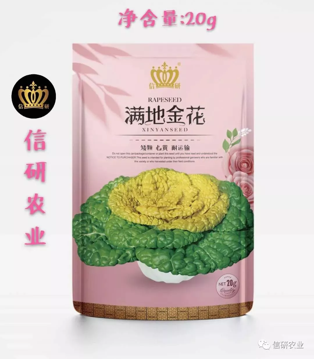 这是什么花？这是黄心菜啦—信研农业- 河南省信研农业科技有限公司